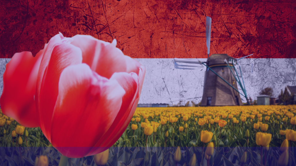 El Mercado de Tulipanes en los Países Bajos